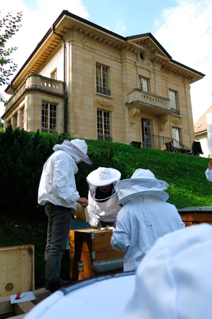 Apicultores trabajando en los panales delante del Museo de Girard-Perregaux