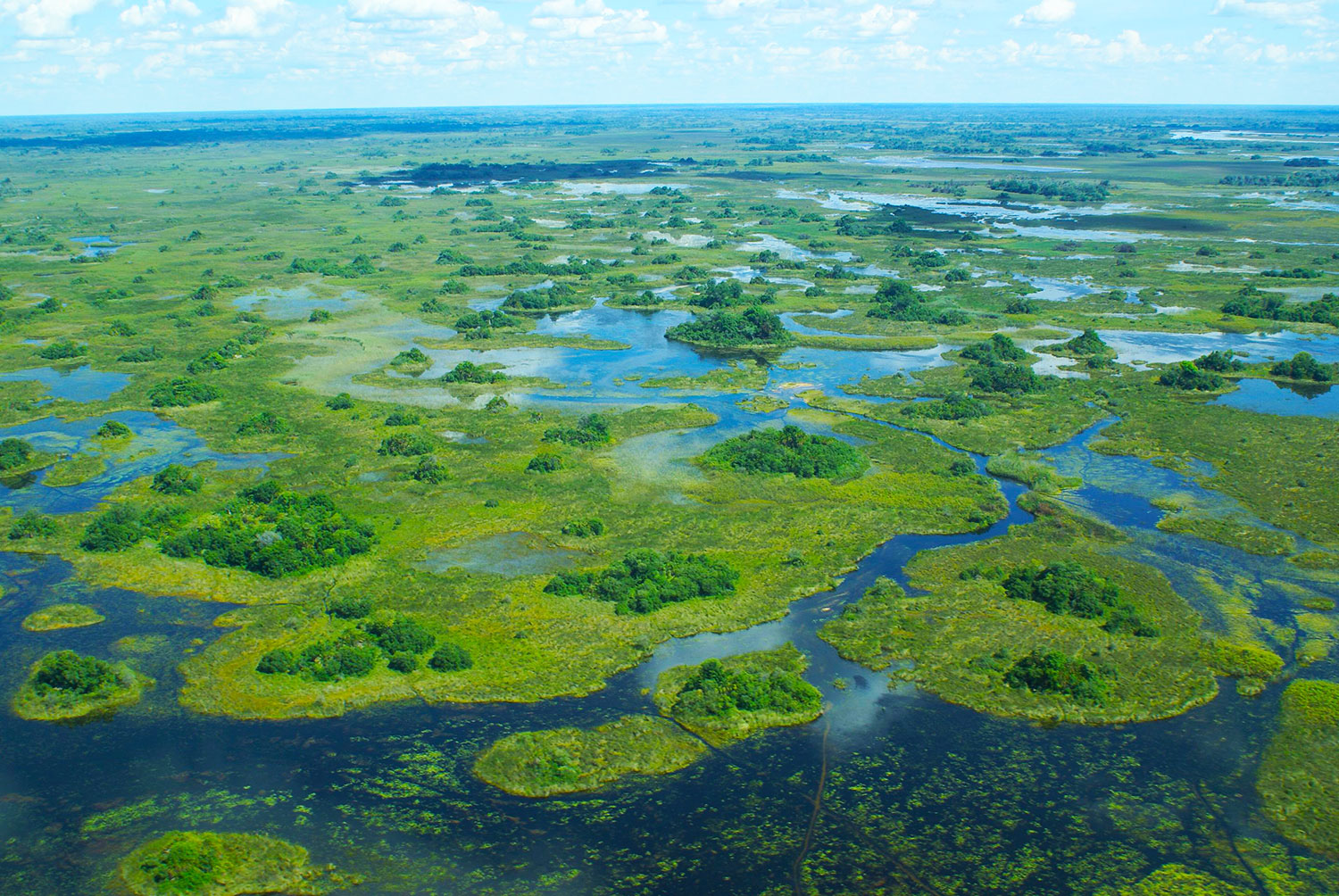 Delta del Okavango Fotografía de Justin Hall para Wikimedia