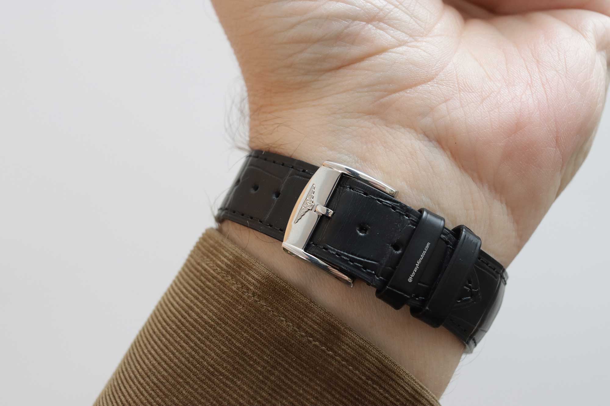 Hebilla de la correa de cocodrilo