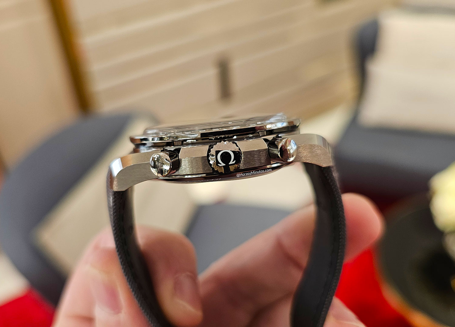 Perfil del Omega Speedmaster Grey Side of the Moon