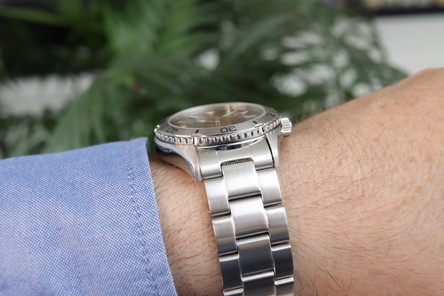 Perfil de los Orient Mako 40