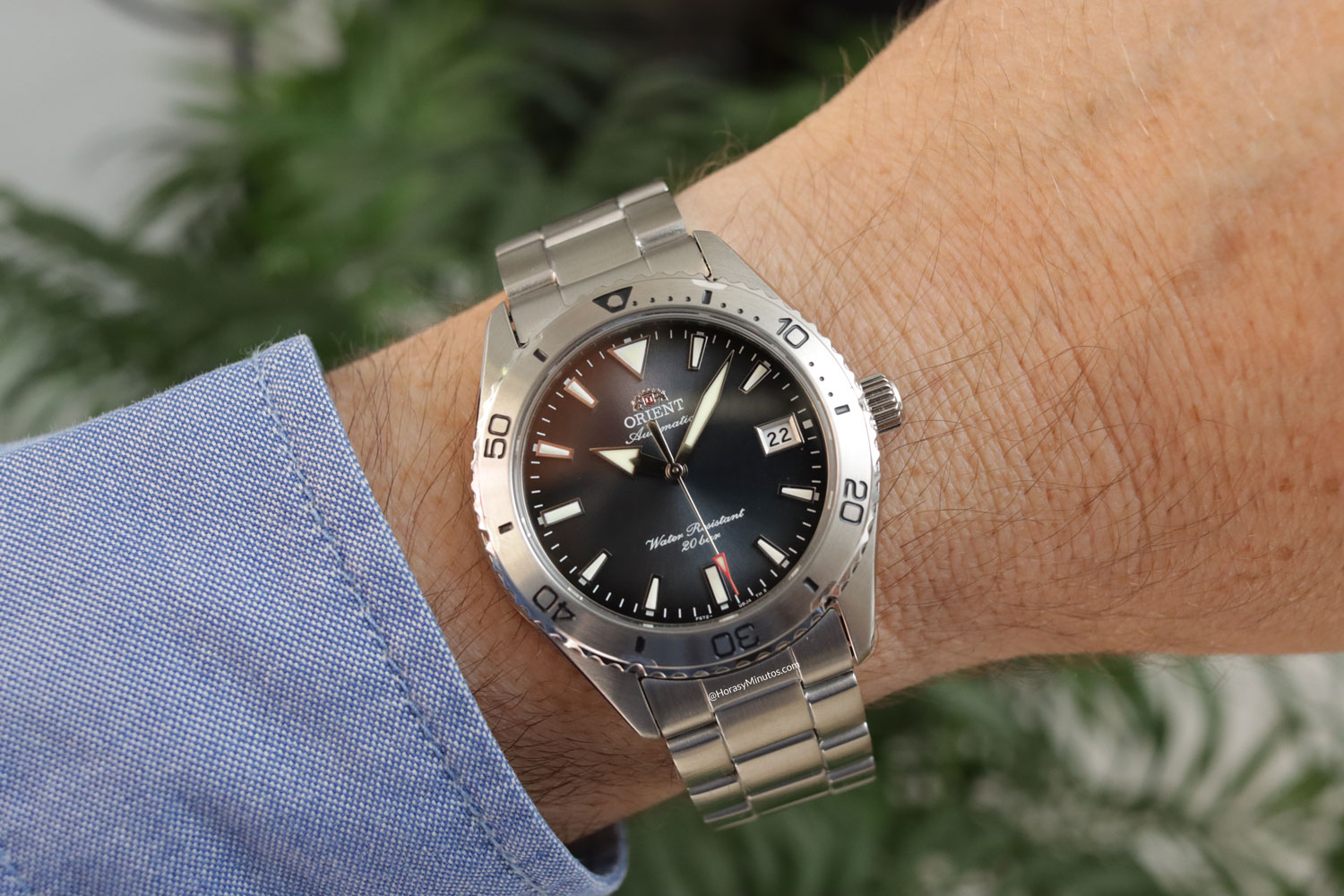 En la muñeca: Orient Mako 40 RA-AC0Q14L