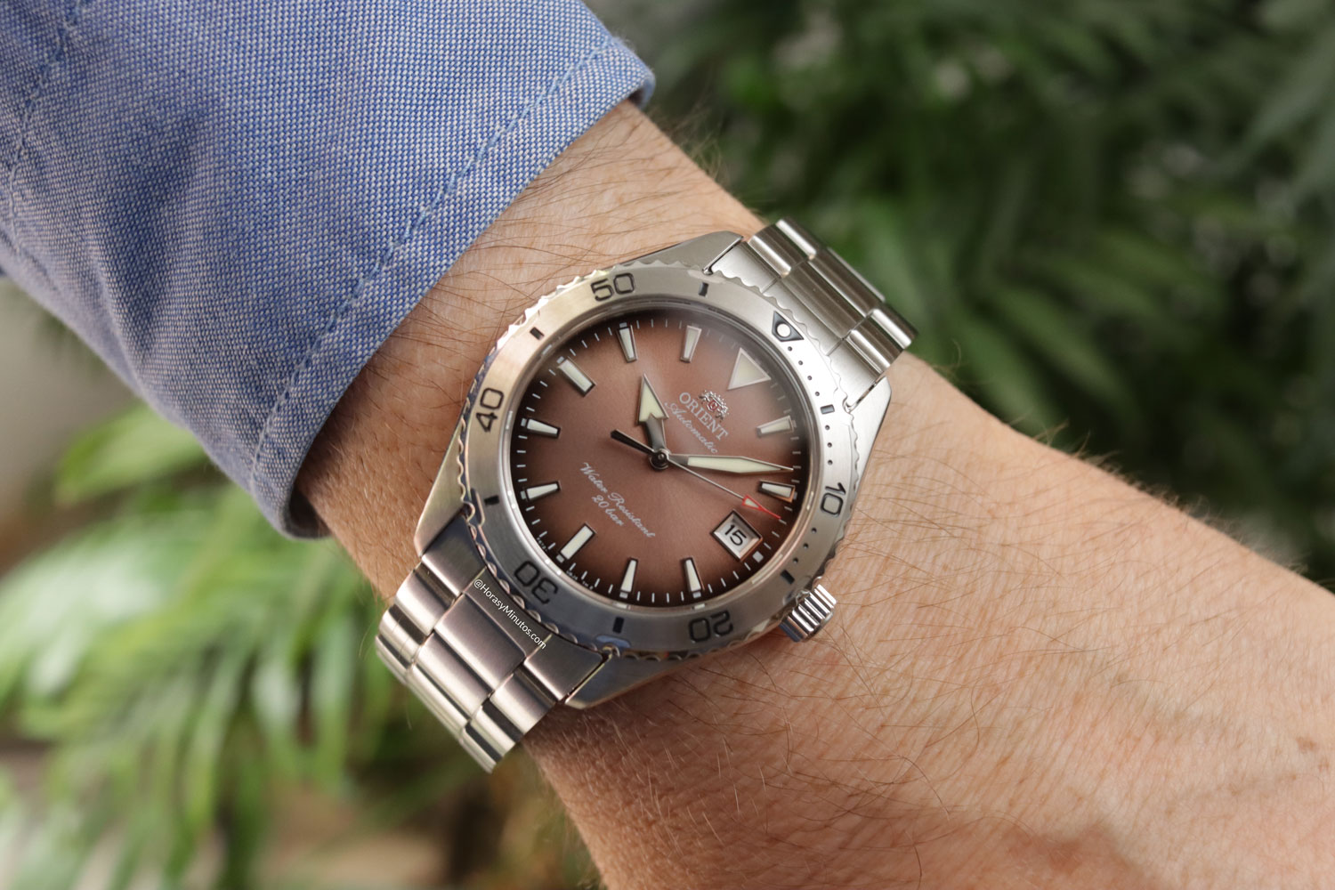 Así se ve el Orient Mako 40 RA-AC0Q17Y