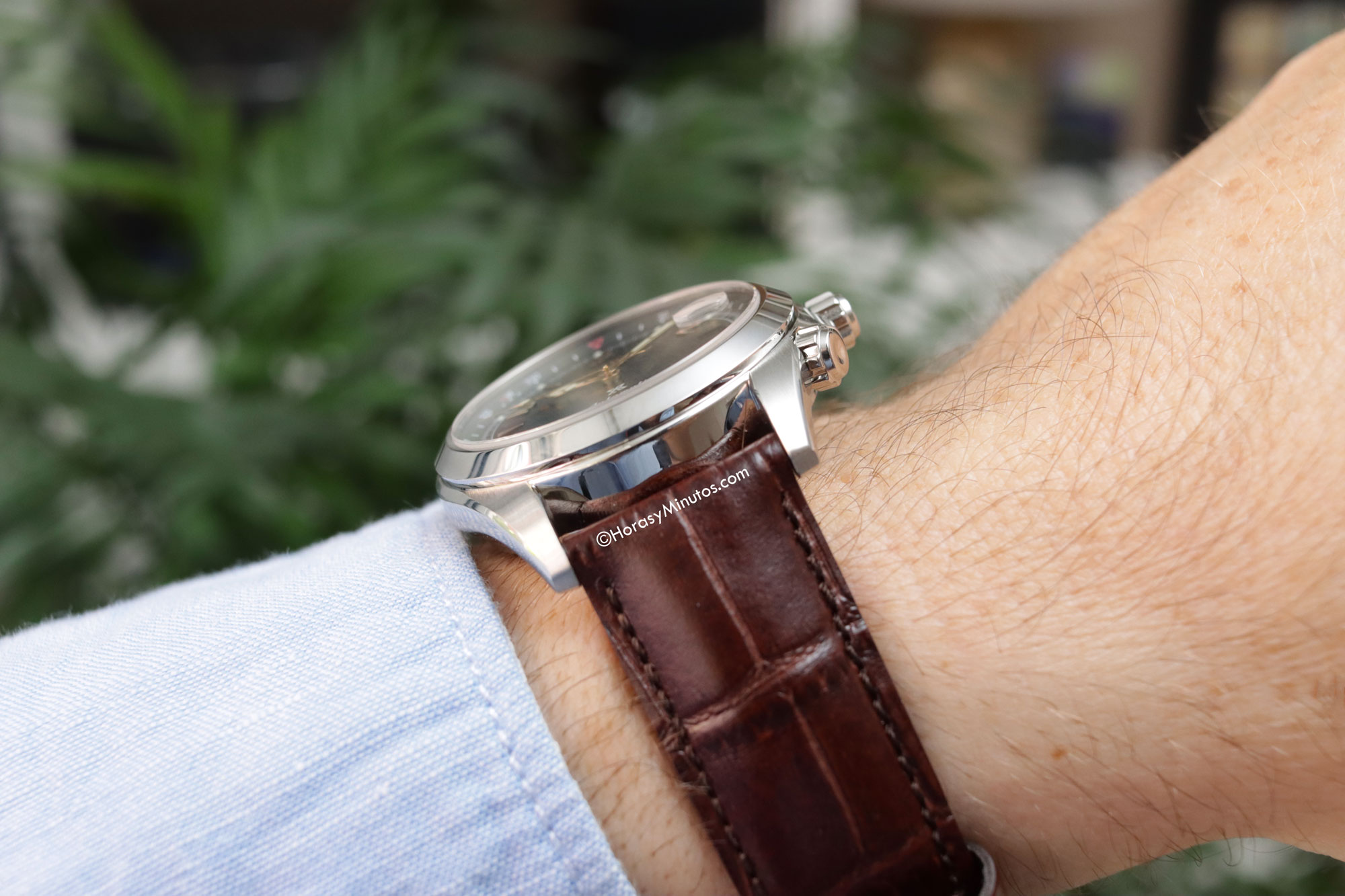 Perfil del Seiko Alpinist