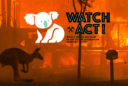 Watch & Act! Portada